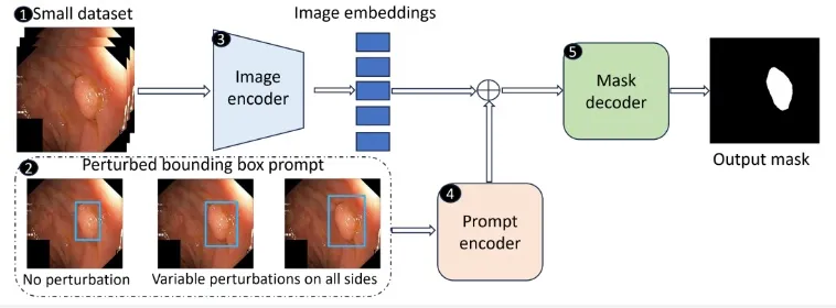 Congrats to Debesh! His CVPR 2024 Workshop paper was accepted! — original accompanying document or figure