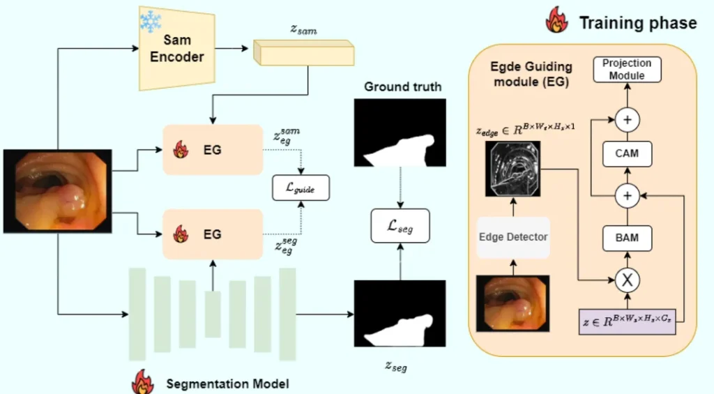 One paper accepted for the prestigious BMVC! — original accompanying document or figure