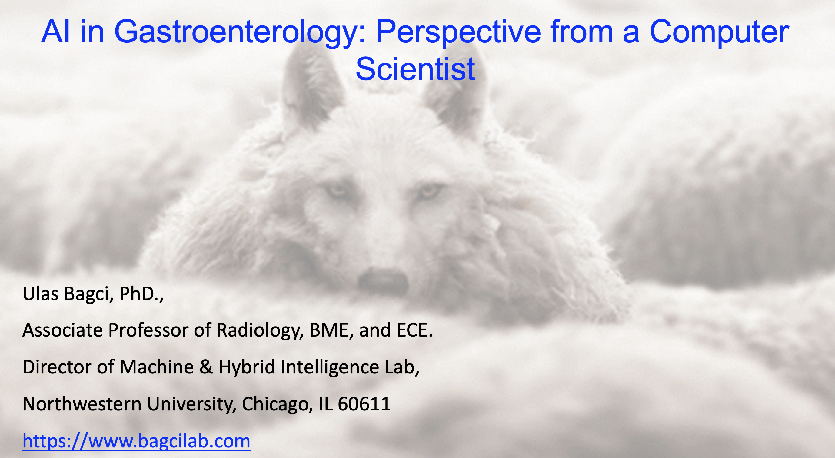 Dr. Bagci has given an invited talk at ASGE’s AIGI Workshop — original accompanying document or figure