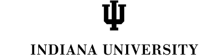 Dr. Bagci has given an invited talk at Indiana University — original accompanying mark